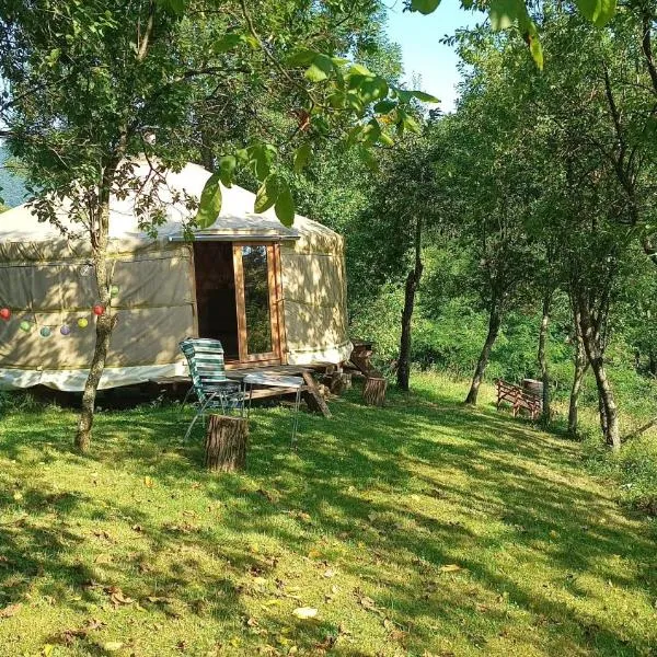 Romantic yurt in Apuseni mountains，位于Grohoţele的酒店