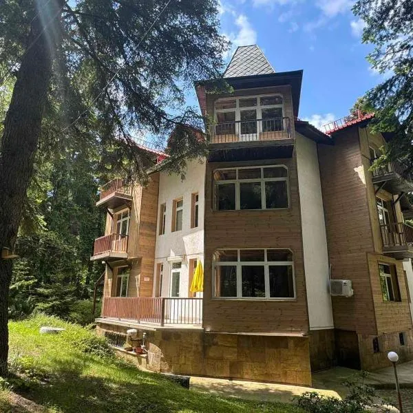 The Forest Villa Borovets by BookVillaBG，位于波罗维茨的酒店