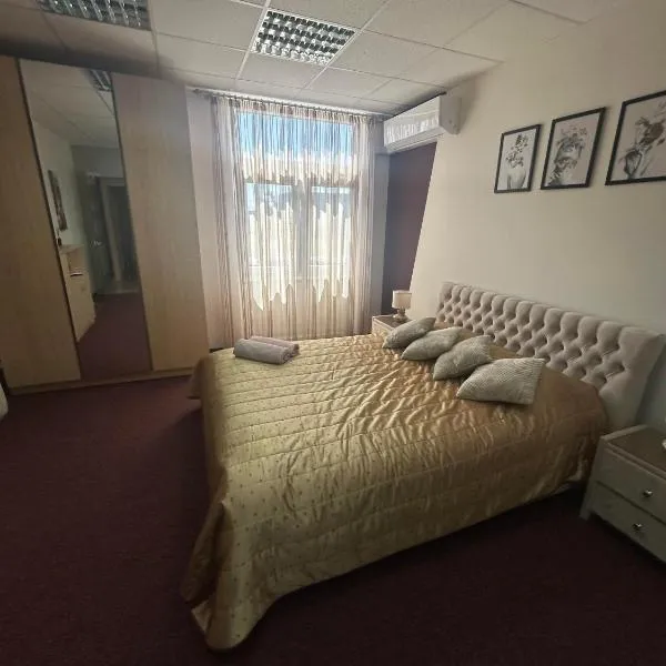 Draugystės apartmentai，位于考纳斯的酒店