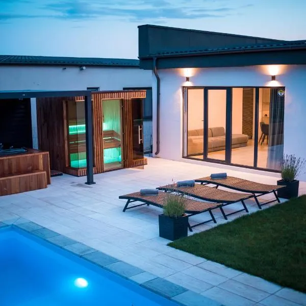 Banya Villa Bucuresti sauna jacuzzi piscina spa，位于Gulia的酒店