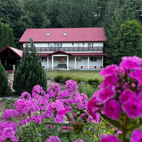 Vacation villa Sucevița，位于普特纳的酒店