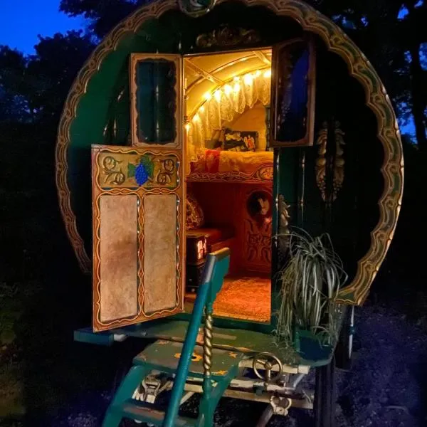 Gypsy Caravan Glamping，位于尼芬的酒店