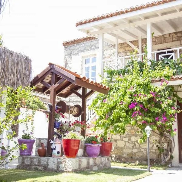 塔实德兰酒店，位于阿拉恰特的酒店