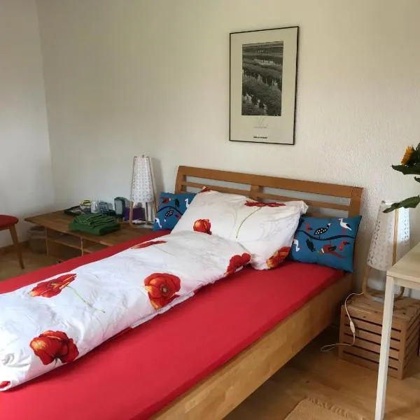 Guest room Zollikon Zürich，位于豪尔根的酒店