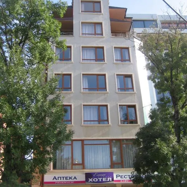 埃里卡酒店，位于Izgrev的酒店