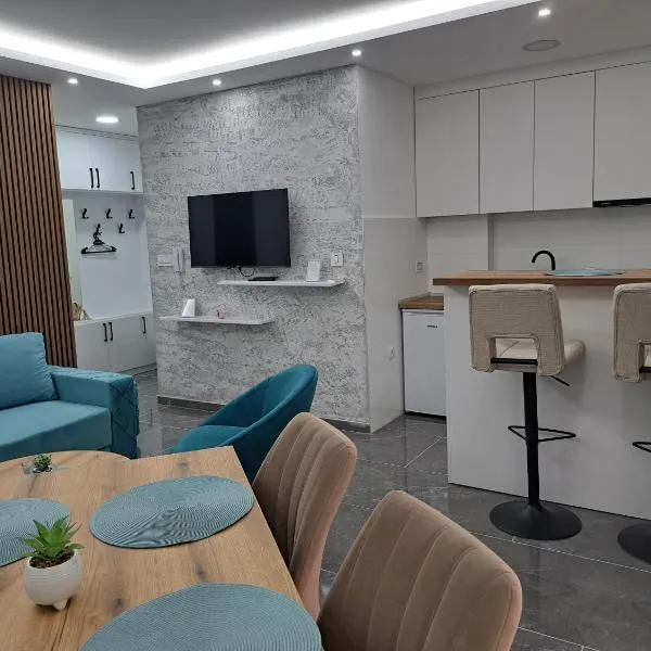 Apartman NEDA，位于Donja Borina的酒店