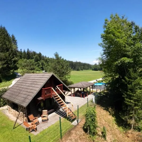 WoodHouse by the River，位于Črna na Koroškem的酒店