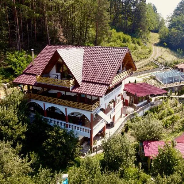 Vila Victoria，位于Pangarati的酒店