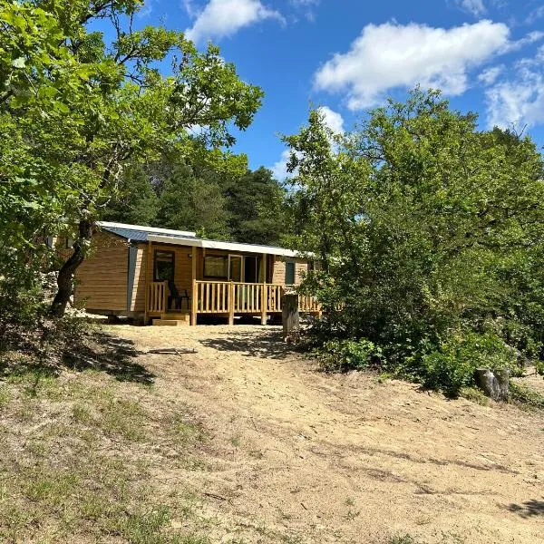 Mobil home ile de loisirs de buthiers，位于Buthiers的酒店
