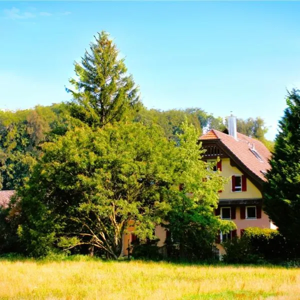 Nisihof, Abendblick，位于Oberkirch的酒店