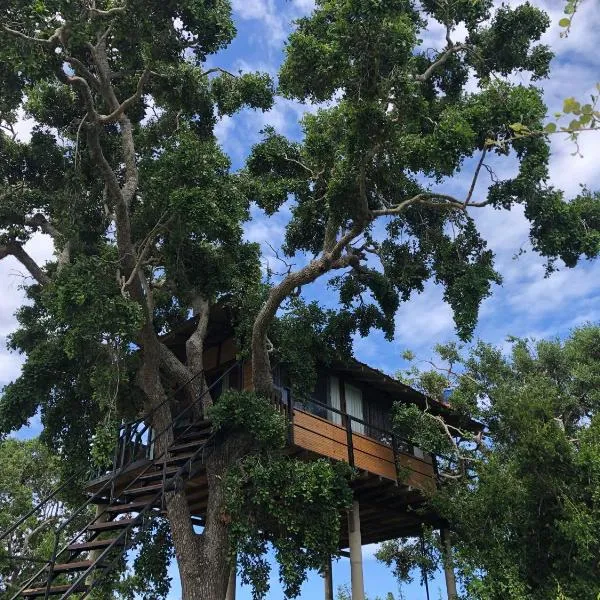 Eagle Eye Yala，位于雅拉的酒店