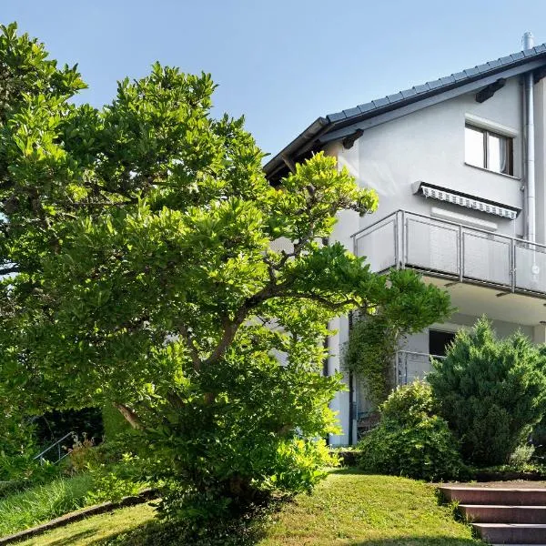 Ferienwohnung Das Nest，位于希尔塔赫的酒店