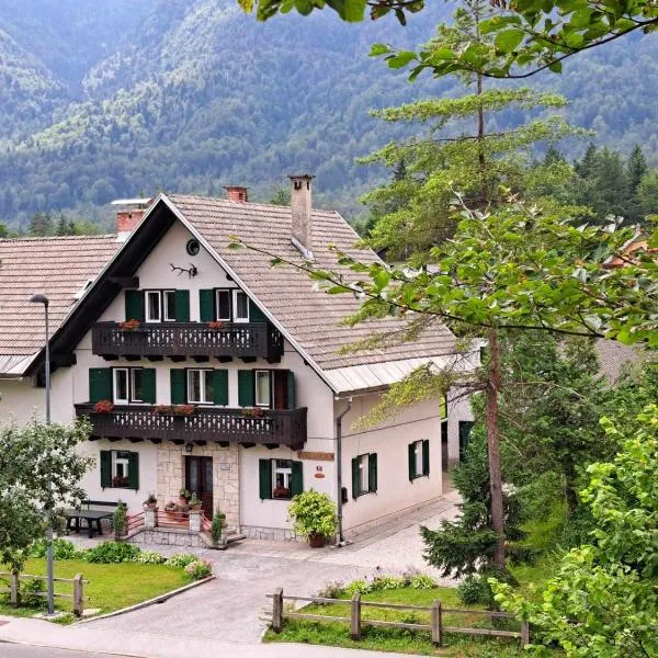 Apartments Škantar，位于博希尼的酒店