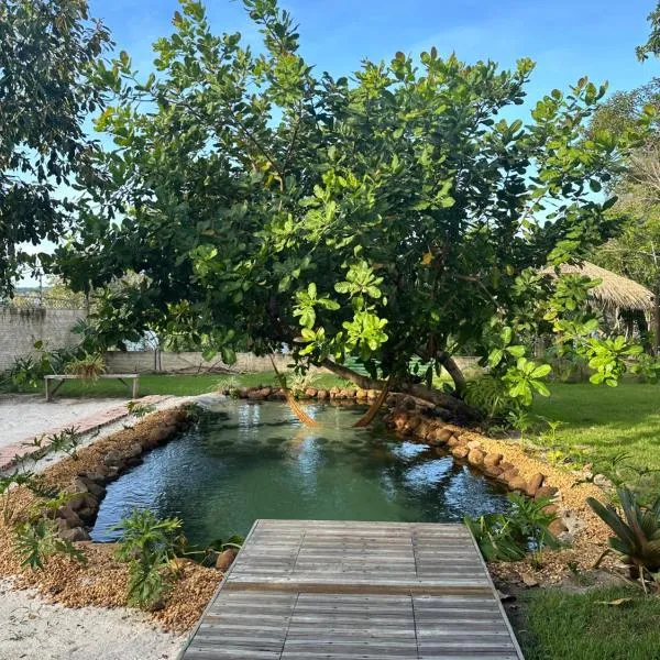 Casa do Lago em Alter do Chão，位于阿尔特杜尚的酒店