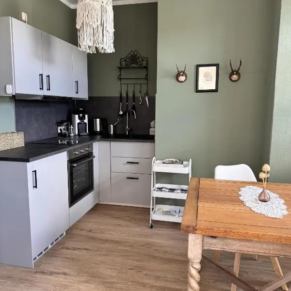 Ferienwohnung Erzgebirgsnest，位于安娜贝格-布赫霍尔茨的酒店