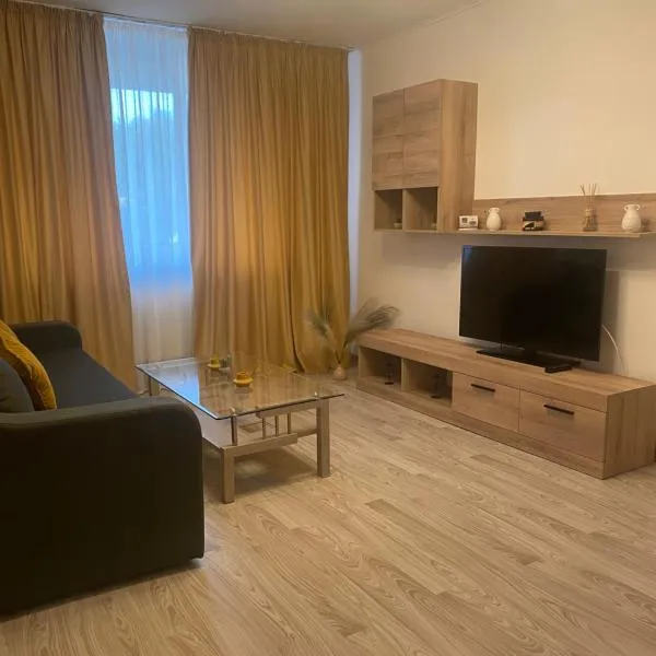 EVA - Apartament，位于Dragoslavele的酒店