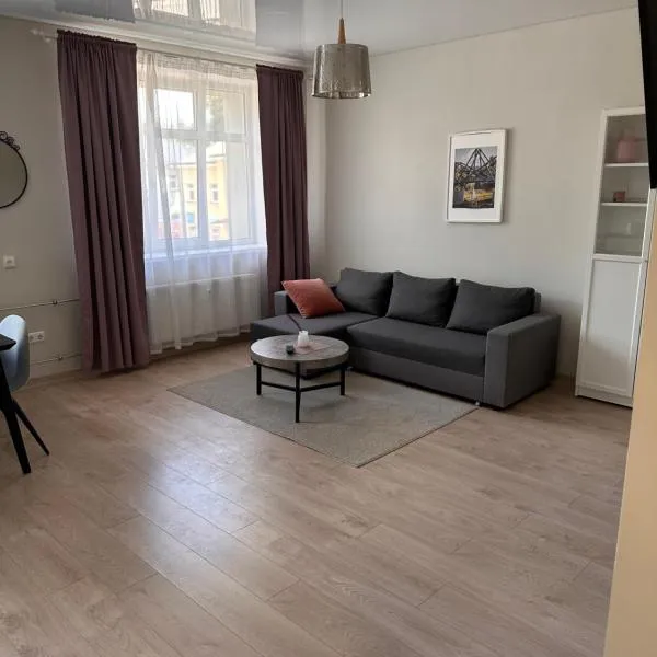 Studio flat Centrinis Butukas，位于Pilionai的酒店