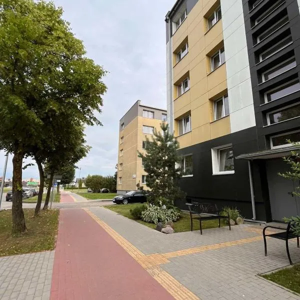 One bedroom apartments in central Joniškis，位于约尼什基斯的酒店