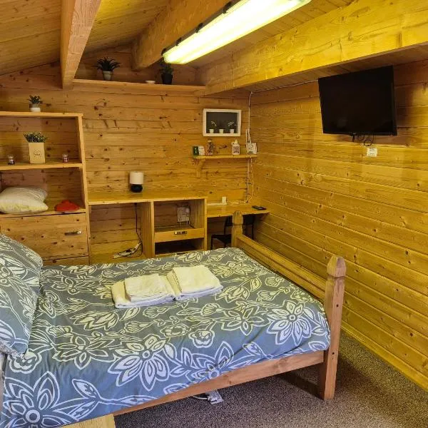 17b DB Airbnb，位于韦克斯福德的酒店