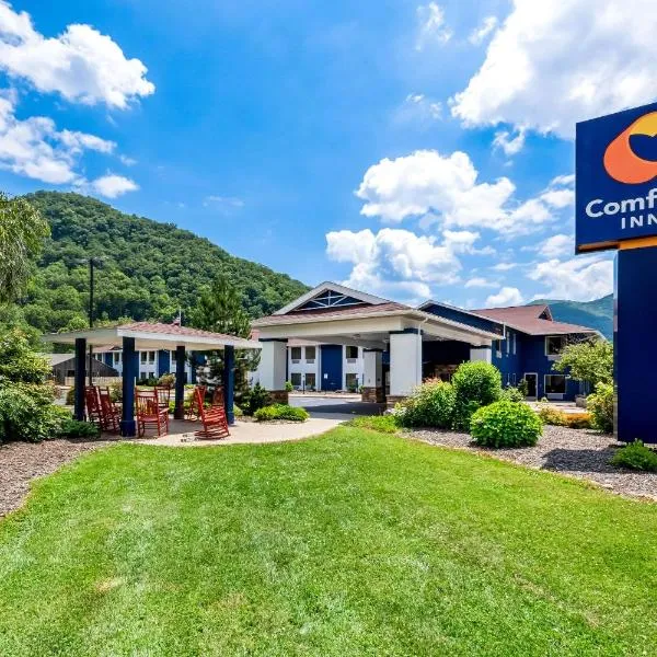 Comfort Inn near Great Smoky Mountain National Park，位于韦恩斯维尔的酒店