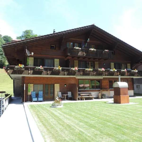 史文迪波顿小屋公寓，位于格林德尔瓦尔德的酒店