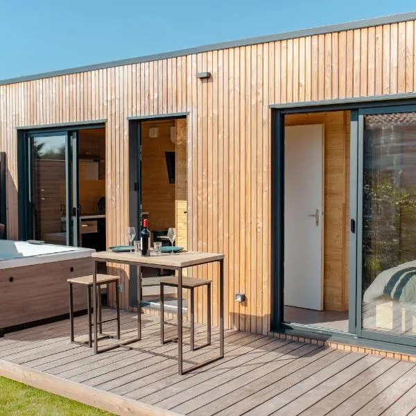 Le Laponya - Chalets climatisés avec SPA & Borne de recharge，位于布雷索勒的酒店