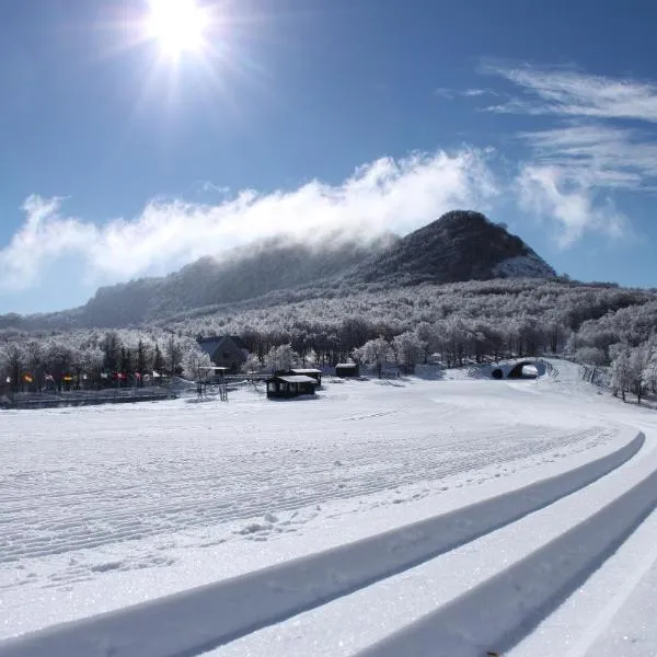 Albergo Conte Max，位于卡普拉科塔的酒店