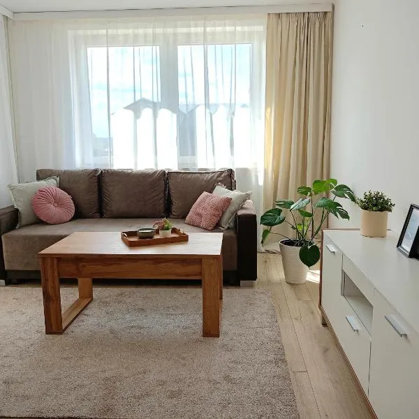 Apartament Biłgorajski w Śródmieściu，位于比乌戈拉伊的酒店