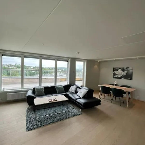 Penthouse apartment - Lillestrøm，位于利勒斯特罗姆的酒店
