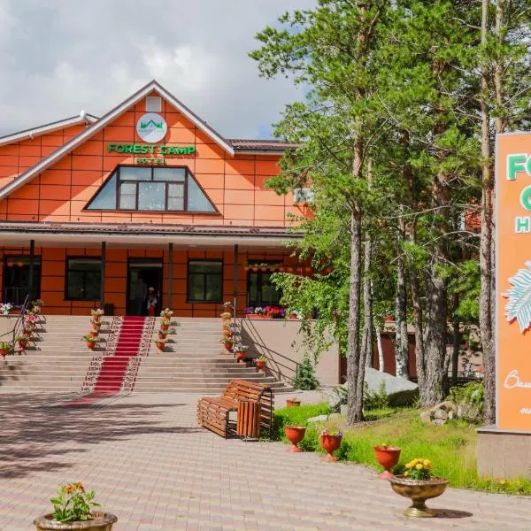 Forest Camp，位于休钦斯克的酒店