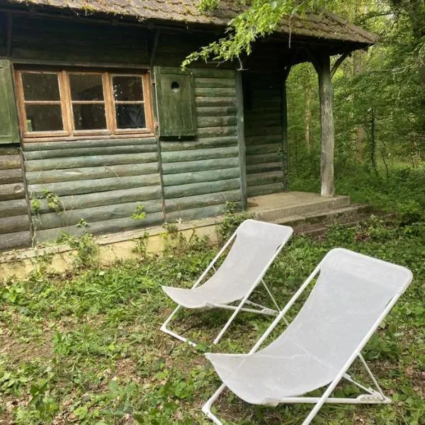 Charmant chalet，位于Auffargis的酒店