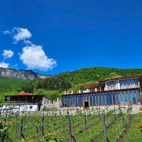 Korenishuli Veranda Wine Hotel 40 km from Tsageri，位于Ladzhana的酒店