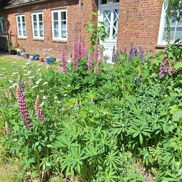 Ferienwohnung Land-Deern in Enge Nordfriesland，位于Enge-Sande的酒店
