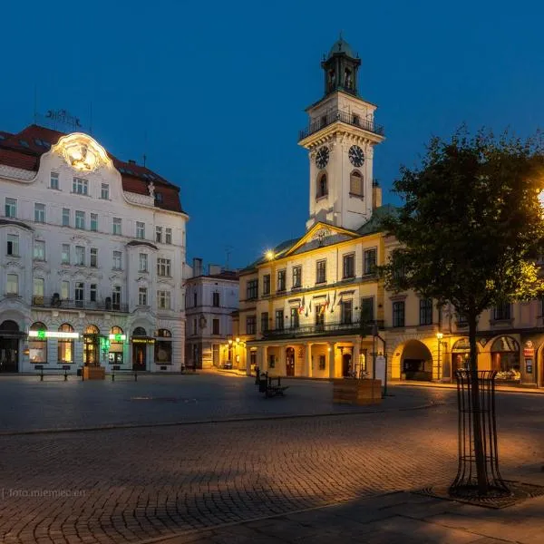 Cieszyński Aparthotel Centrum，位于切申的酒店