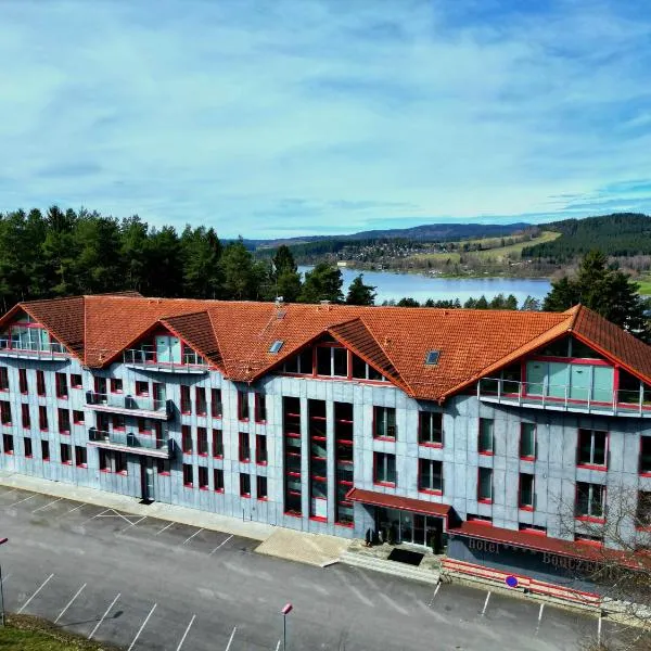 Hotel BouCZECH，位于Loučovice的酒店