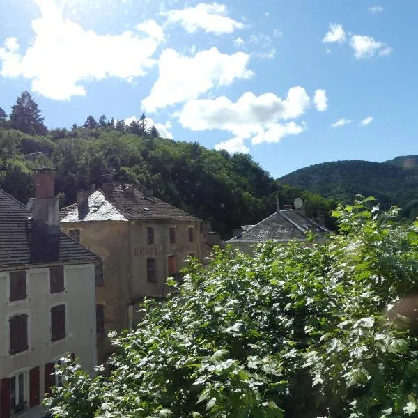 Gîte de séjour et d'étape l'Escampette，位于圣让迪布吕耶勒的酒店