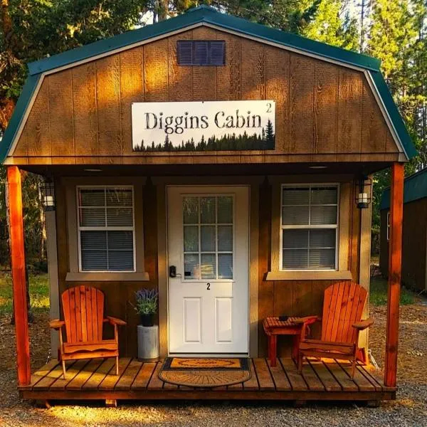 Diggins Cabin 2，位于O'Brien的酒店