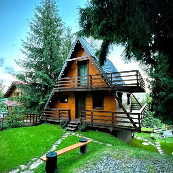 Chalet A Baisoara - Cabana A-Frame la munte，位于Bistra的酒店