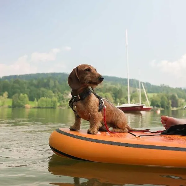 Camping Feriendorf Maltschachersee，位于费尔德基兴的酒店