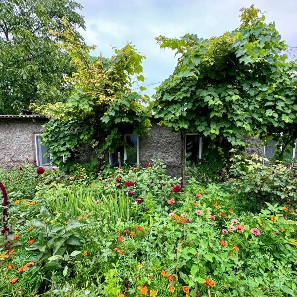 Old Farm，位于伊杰万的酒店