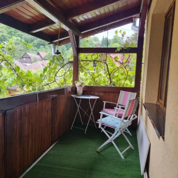 Casa Andreea，位于梅迪亚什的酒店