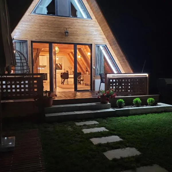 Mountain A-Frame Resort , com Avram Iancu，位于Budeşti的酒店