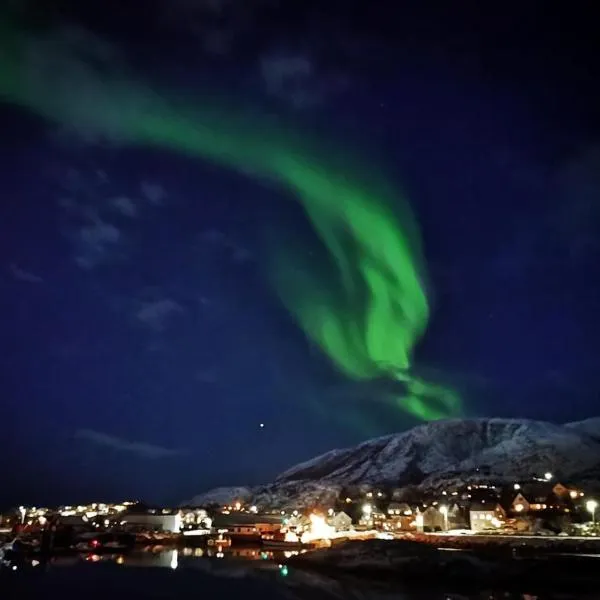 1. etg i Dampskipsbrygga, Lødingen havn，位于勒丁恩的酒店