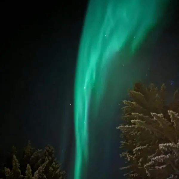 2. etg i Dampskipsbrygga, Lødingen havn，位于勒丁恩的酒店