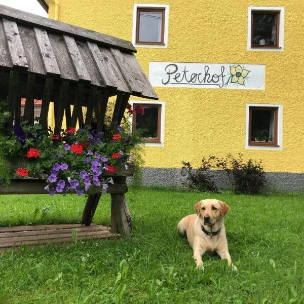 Peterhof – komm als Gast & geh als Freund，位于茵特斯托德的酒店