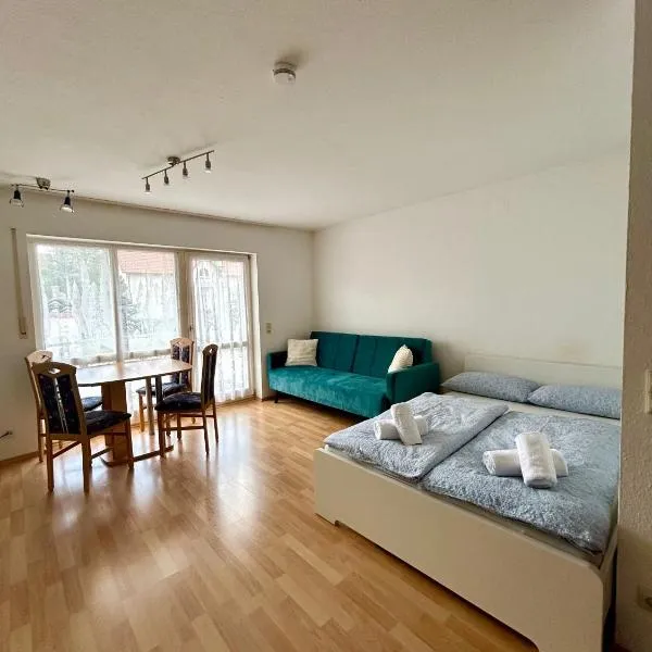 Ferienwohnung in Trossingen，位于特罗辛根的酒店