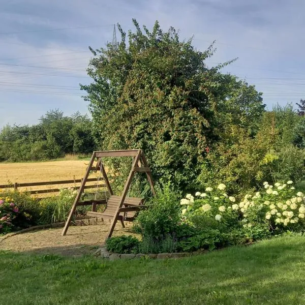 Ferienwohnung Feld und Wiese，位于赫克斯特的酒店