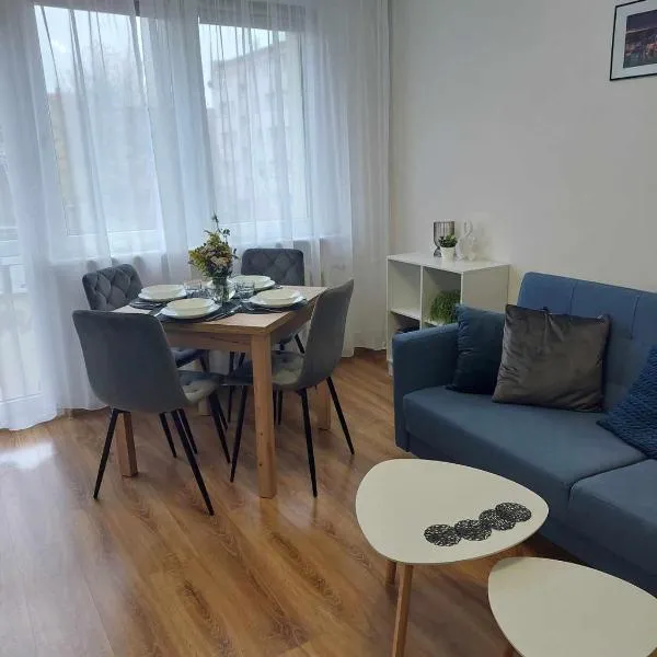 Apartament Centrum przy Placu Zwycięstwa，位于格雷菲采的酒店