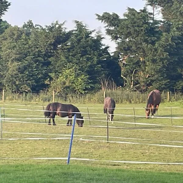Tranquil Equestrian Escape - Sleeps 2，位于Trusthorpe的酒店