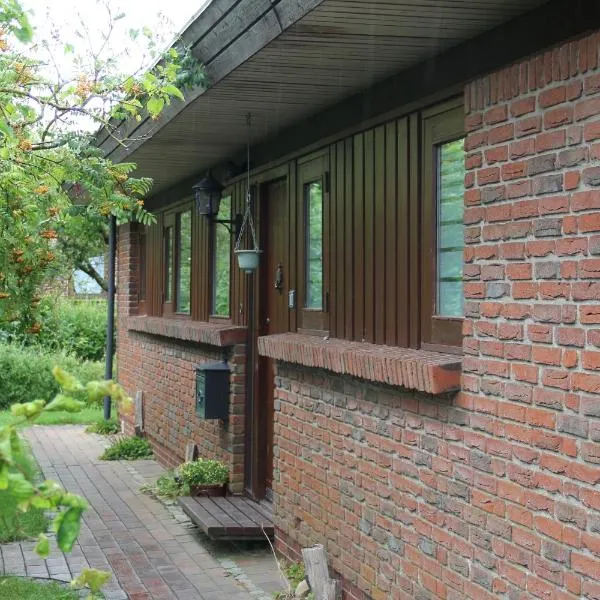 Ferienhaus am Belmermoor 167，位于布伦斯比特尔的酒店